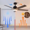 52 Inch Downrod Ceiling Fans with Lights and Remote Control, Modern Outdoor Indoor Black 5 Blades LED Lights Smart Ceiling Fans for Bedroom, Living Ro